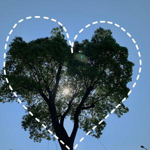 小仙女AV资源导航
